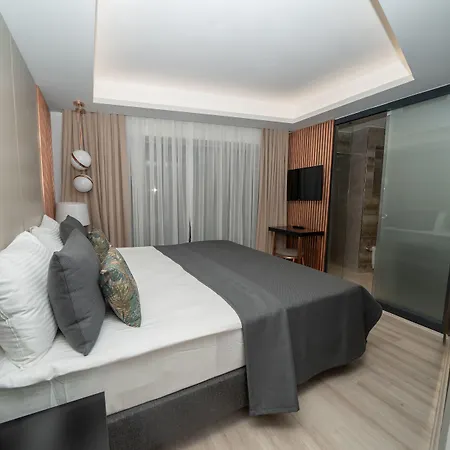 Hotel Fama Karakoey Istanbul